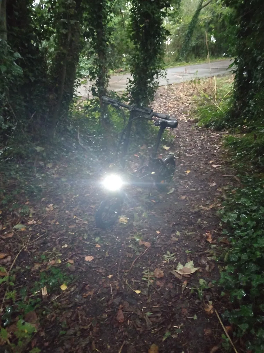 Electric bike Fiido D3 pro - Image 2