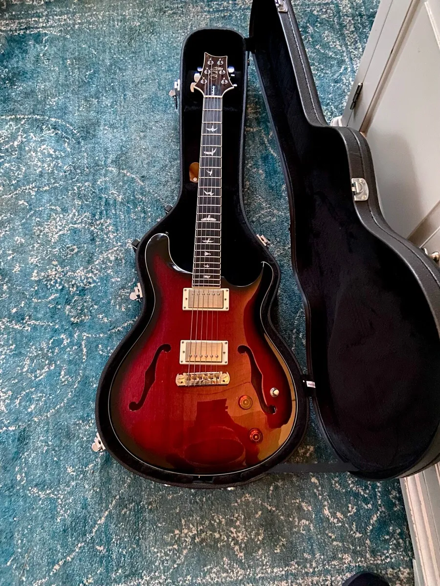 Prs. Se Hollow Body Guitar - Image 1
