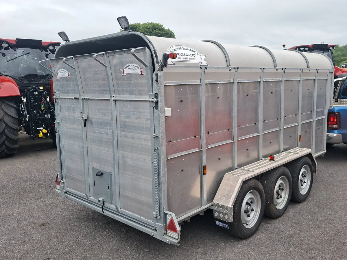 2023 Graham Edwards 14ft trailer - Image 4