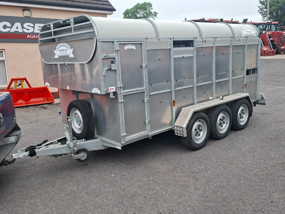 2023 Graham Edwards 14ft trailer - Image 2