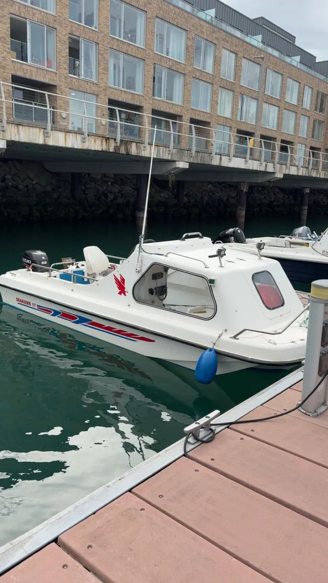 Seahawk 17 sale/swap for warrior - Image 1