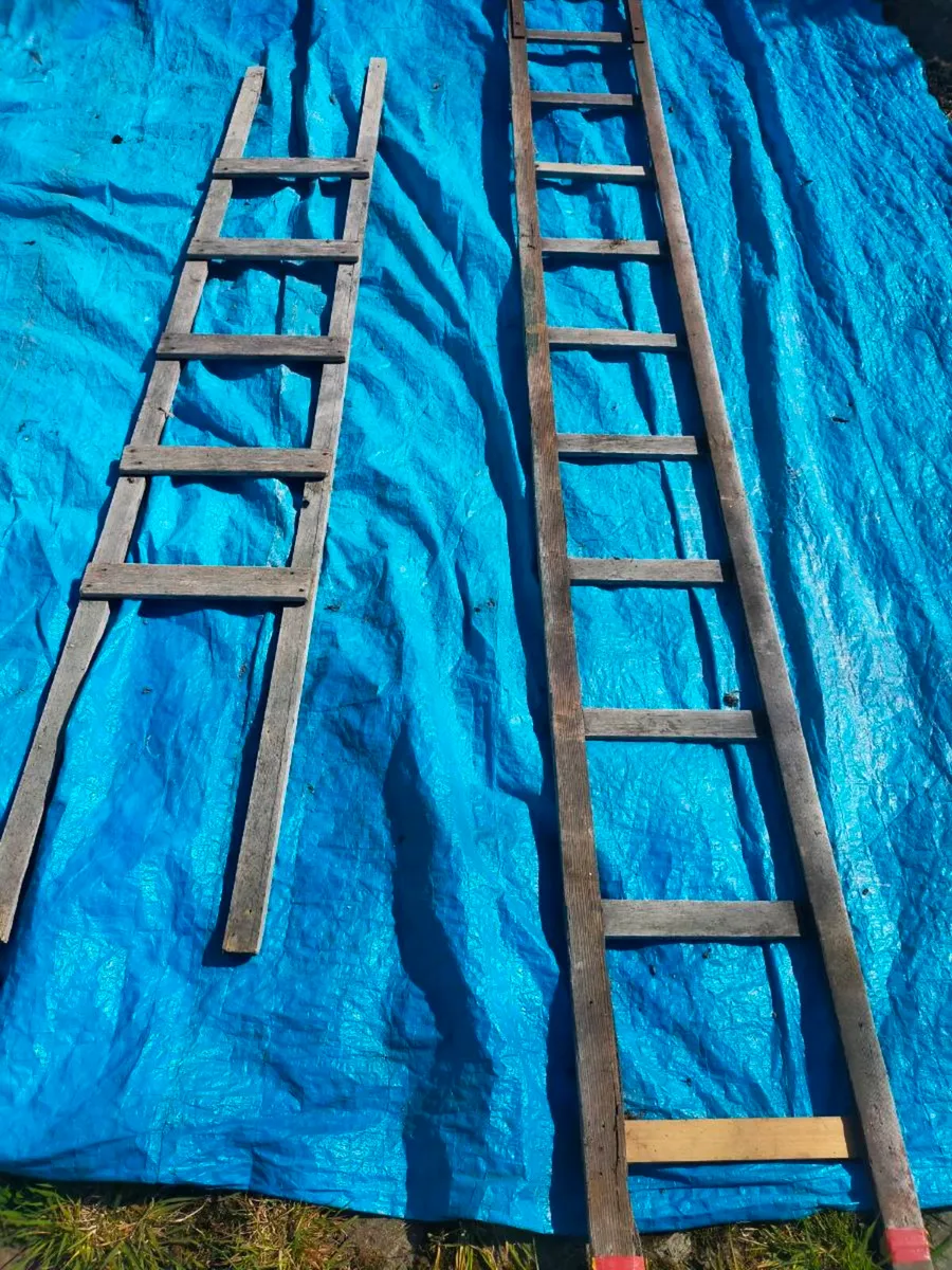 Roof ladder - Image 2