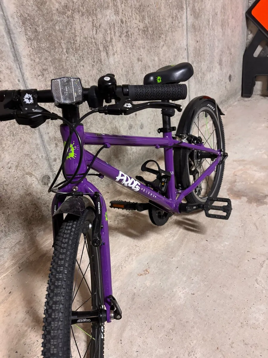 Frog bike 53 - Image 1