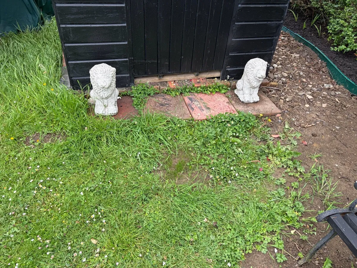 4 x concrete lion statues - Image 3