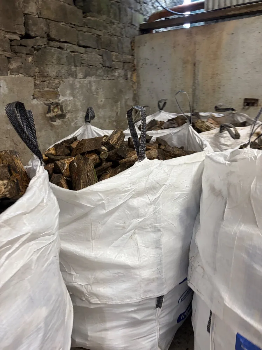 Firewood - Image 2