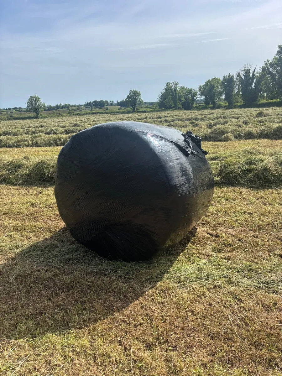 Bale wrapper - Image 4