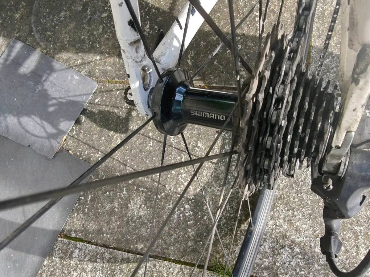 Moser 111 carbon fibre racing bike - Image 3