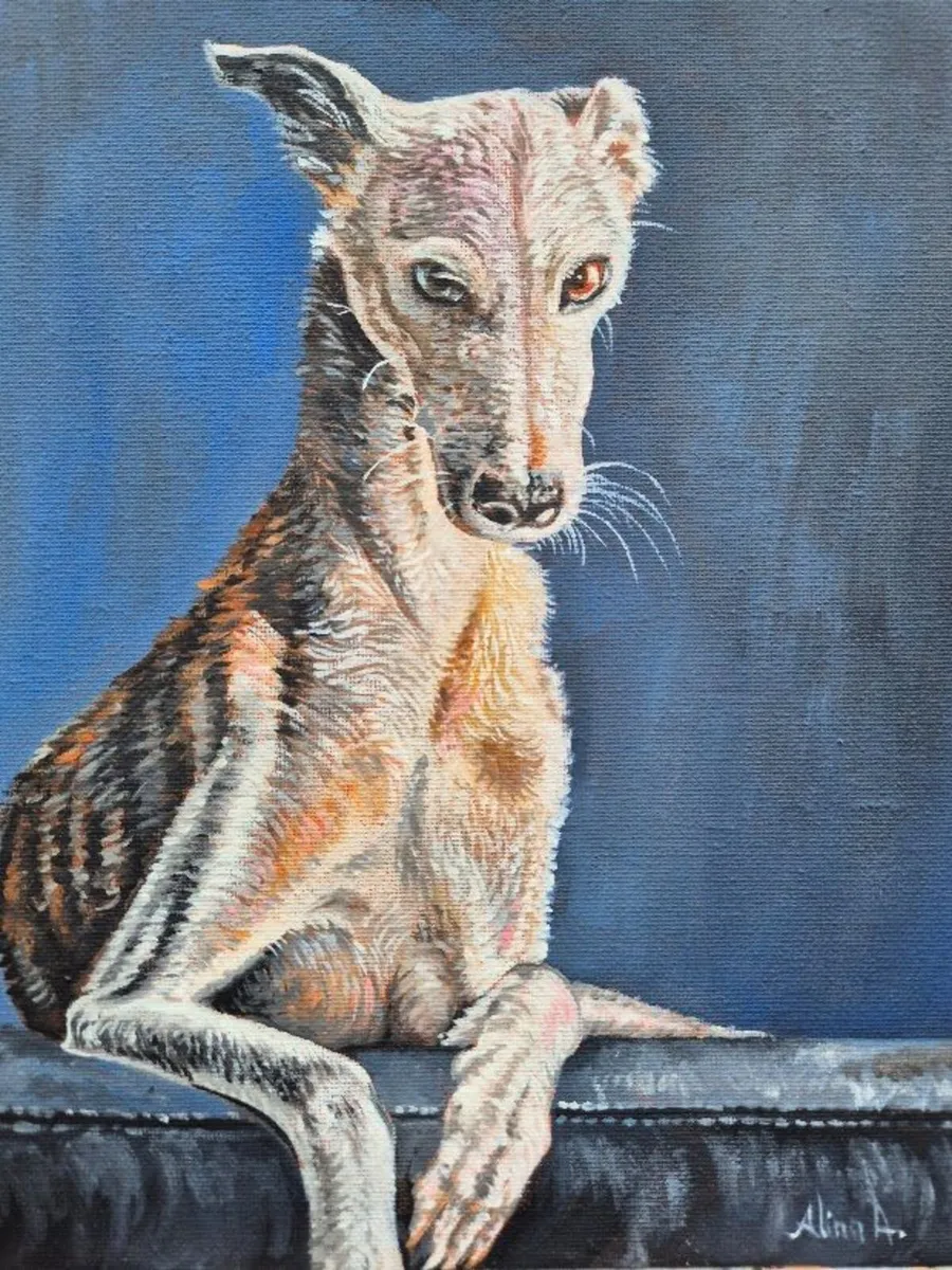 Spanish Greyhound / Galgo Espaniol / oil painting - Image 1