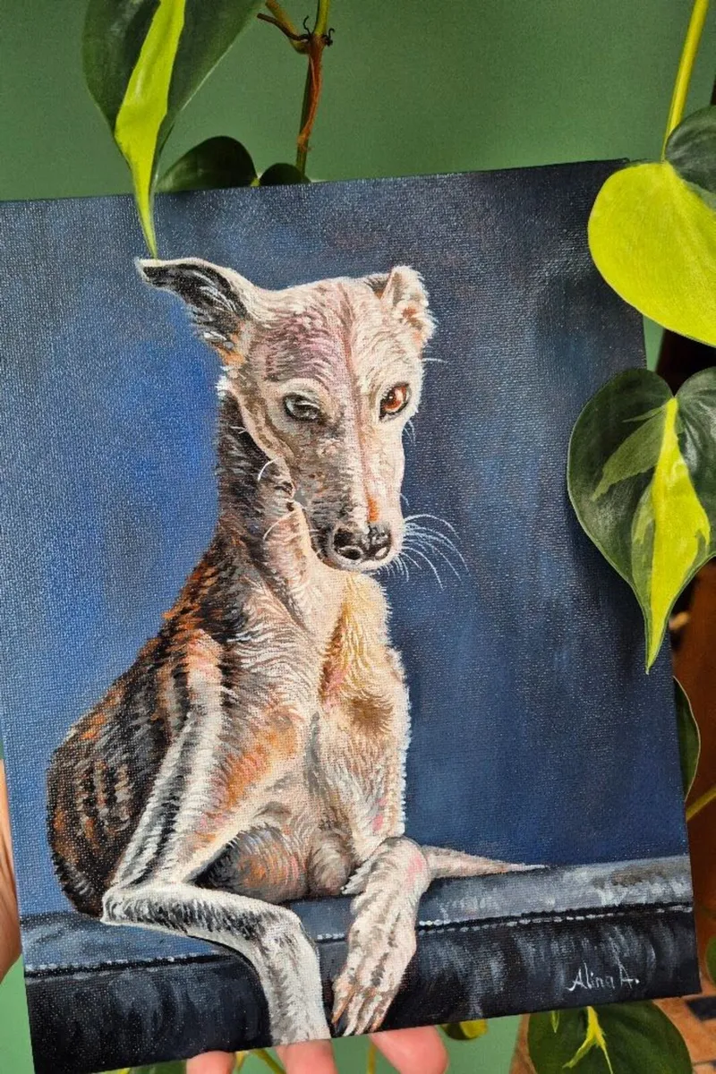 Spanish Greyhound / Galgo Espaniol / oil painting - Image 4