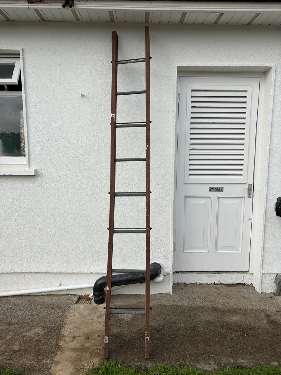 large ladder - Image 1