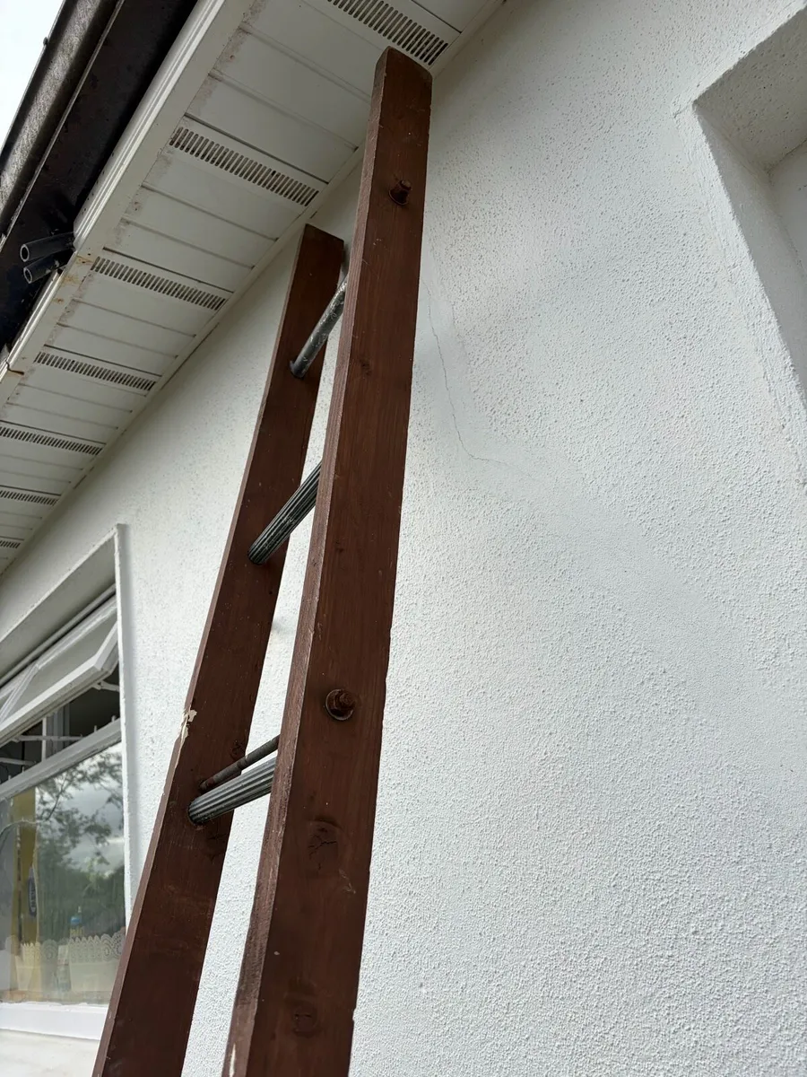 large ladder - Image 2