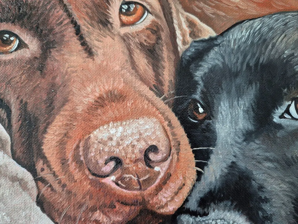 Black & Chocolate Labrador - oil painting - Image 3