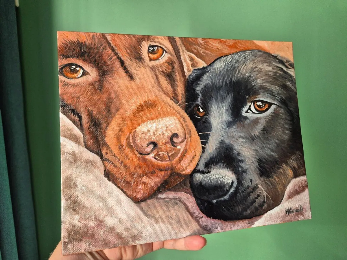 Black & Chocolate Labrador - oil painting - Image 4