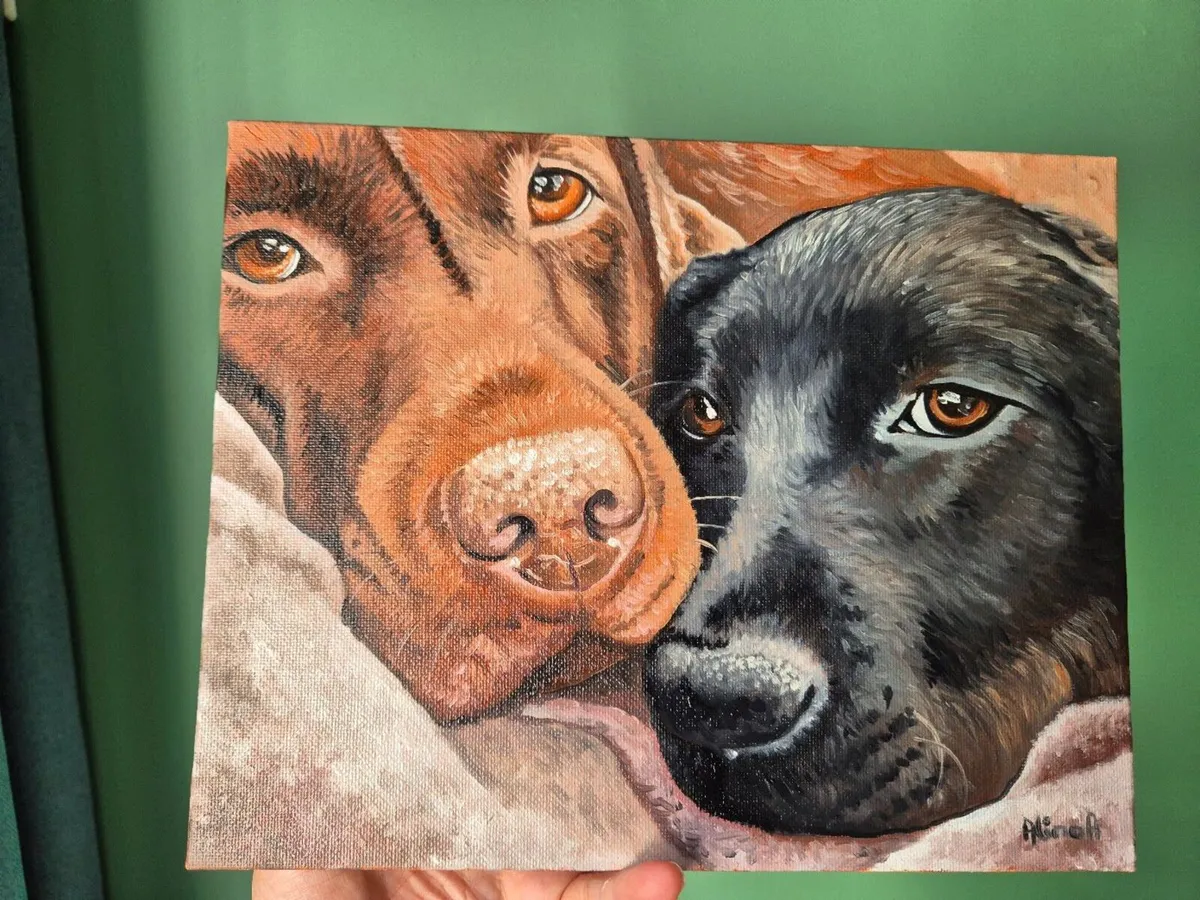 Black & Chocolate Labrador - oil painting - Image 2
