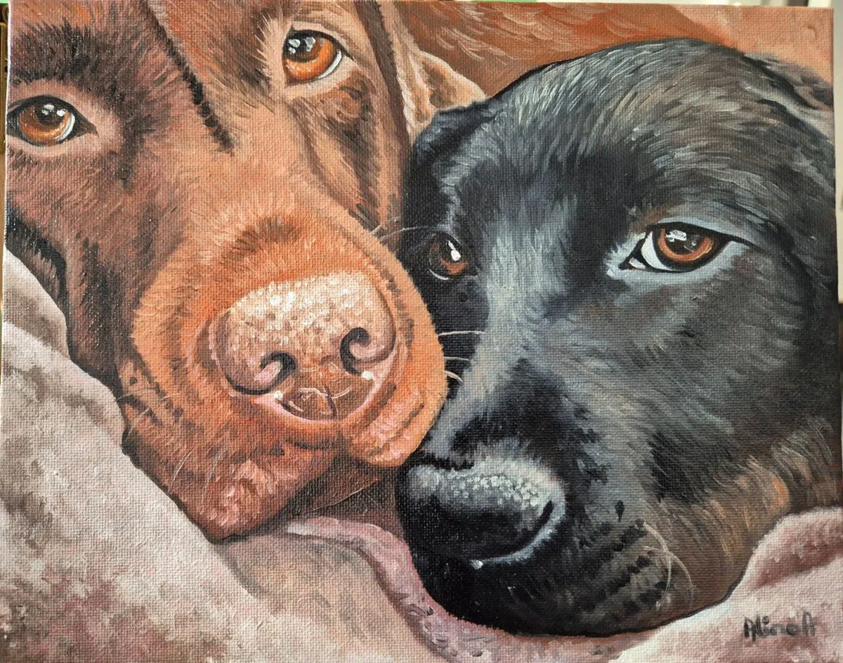 Black & Chocolate Labrador - oil painting - Image 1