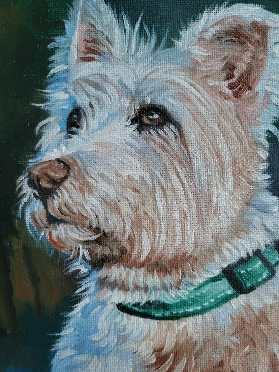 Westi West Highland terrier - oil painting - Image 3