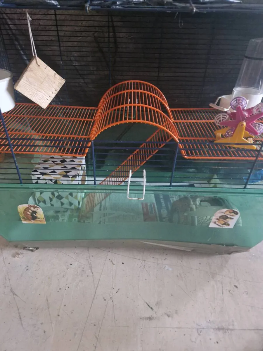 Hamster cage ginney  pig. cage ferrit rat cage . - Image 2