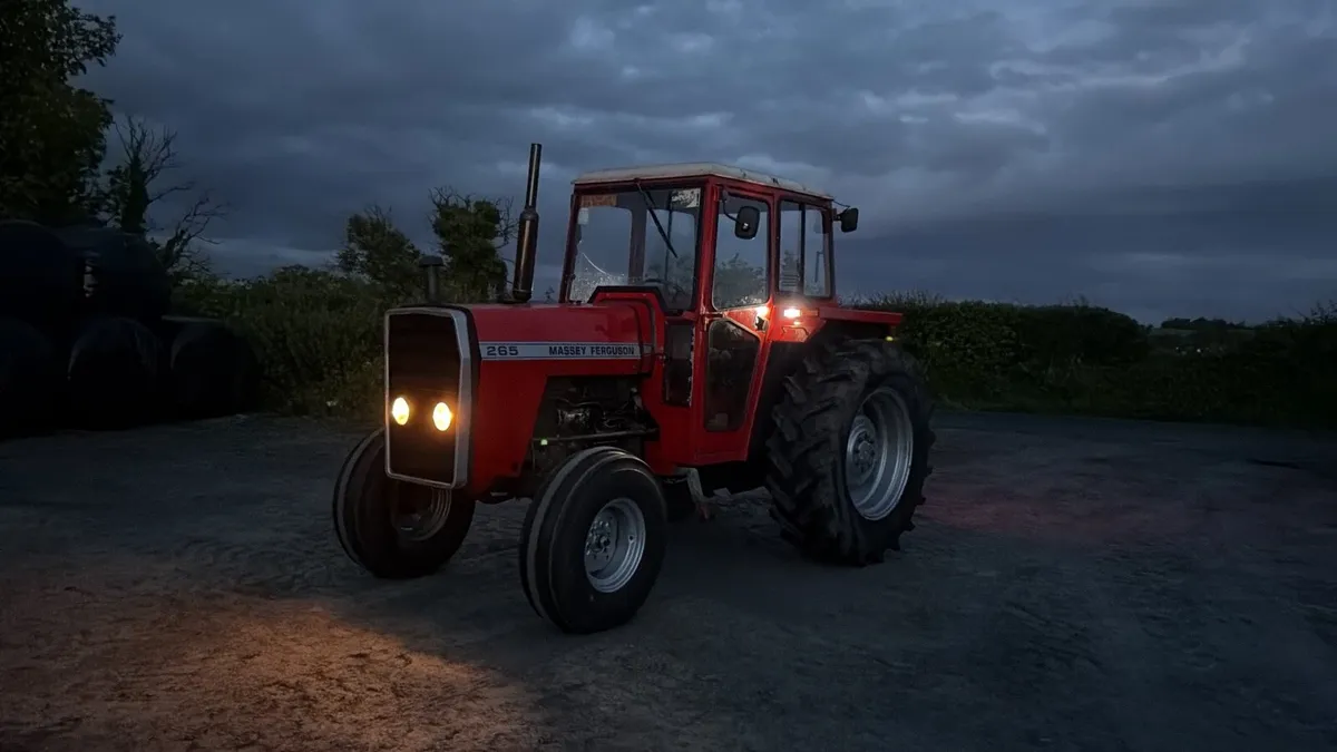 Massey 265 - Image 2