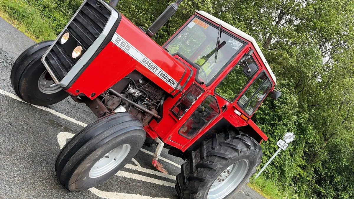 Massey 265 - Image 3