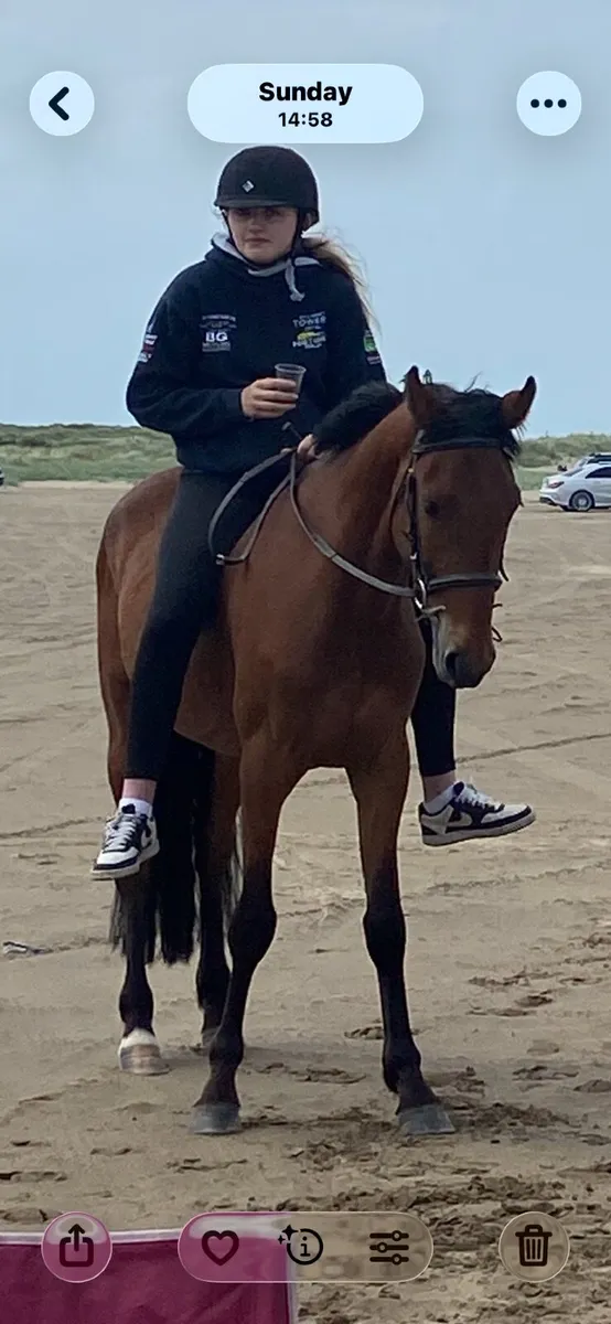 3 year old broken and hacking about