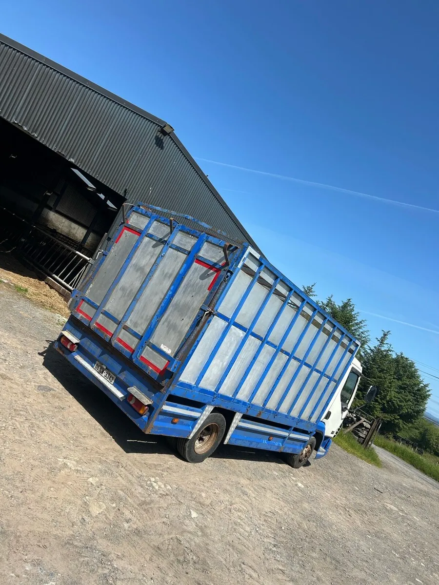 Daf lf45 Cattle Truck - Image 2