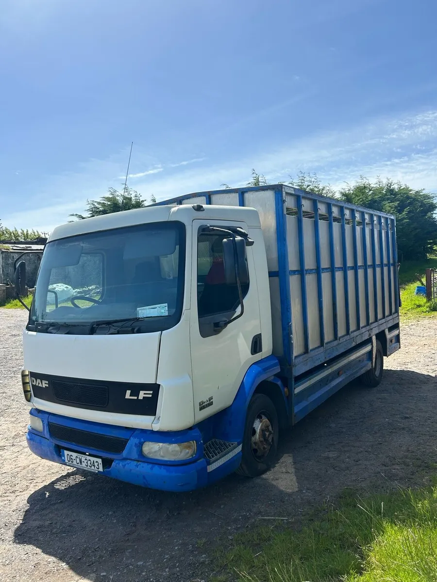 Daf lf45 Cattle Truck - Image 3