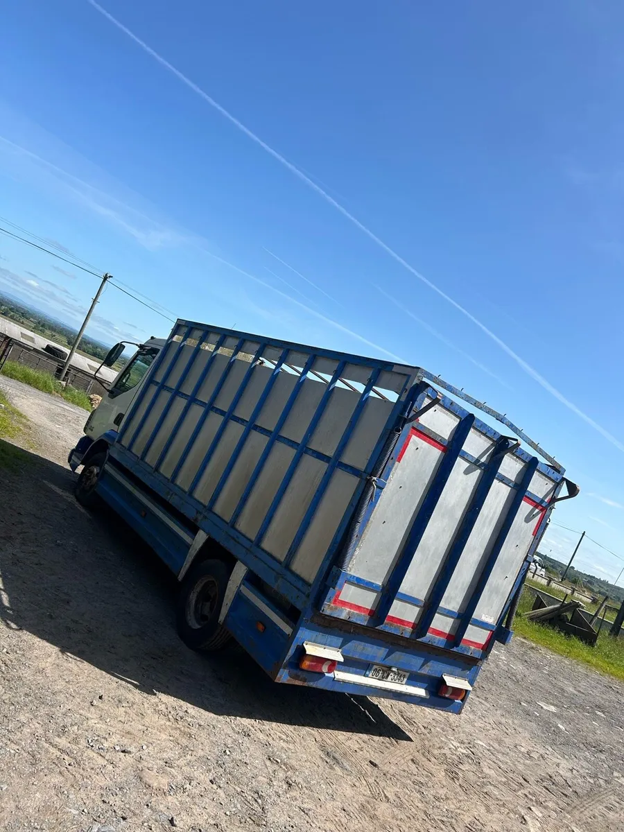 Daf lf45 Cattle Truck - Image 4
