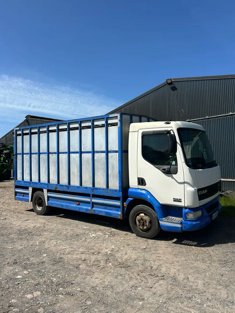 Daf lf45 Cattle Truck - Image 1