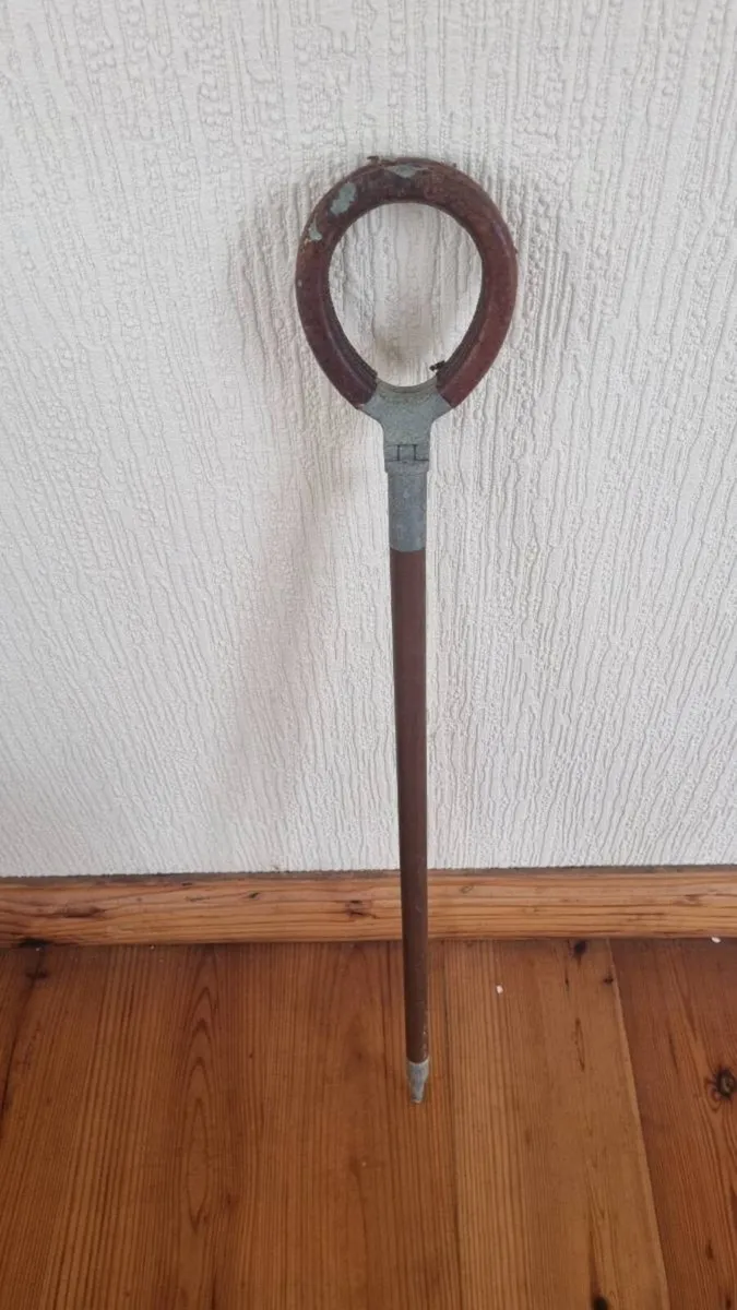 Vintage Shooting Stick/Seat - Image 2