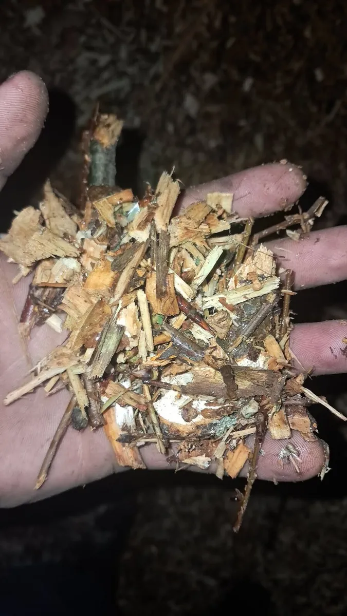 Woodchip - Image 3