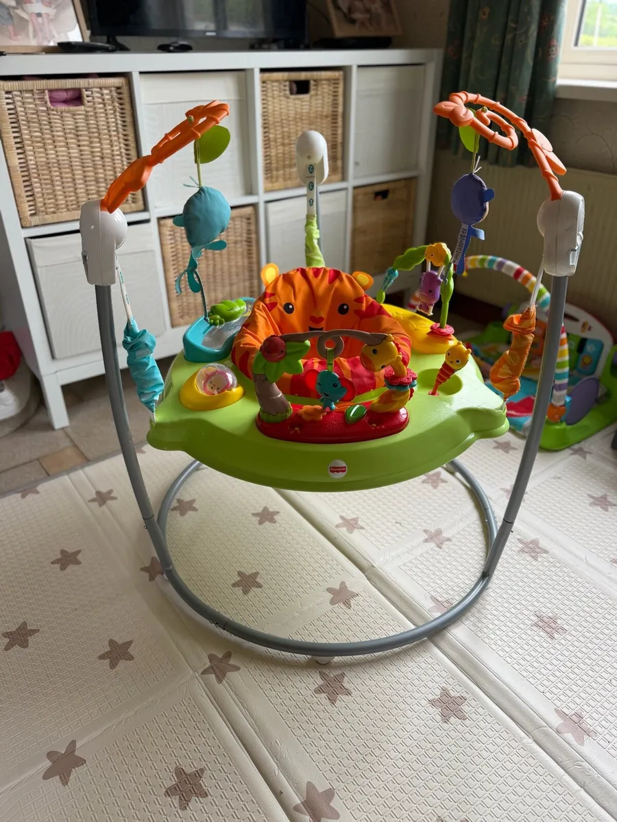 Fisher-Price Roarin’ Rainforest jumperoo