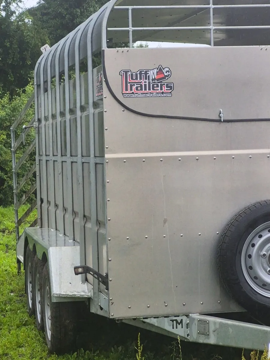 Cattle trailer - Image 2