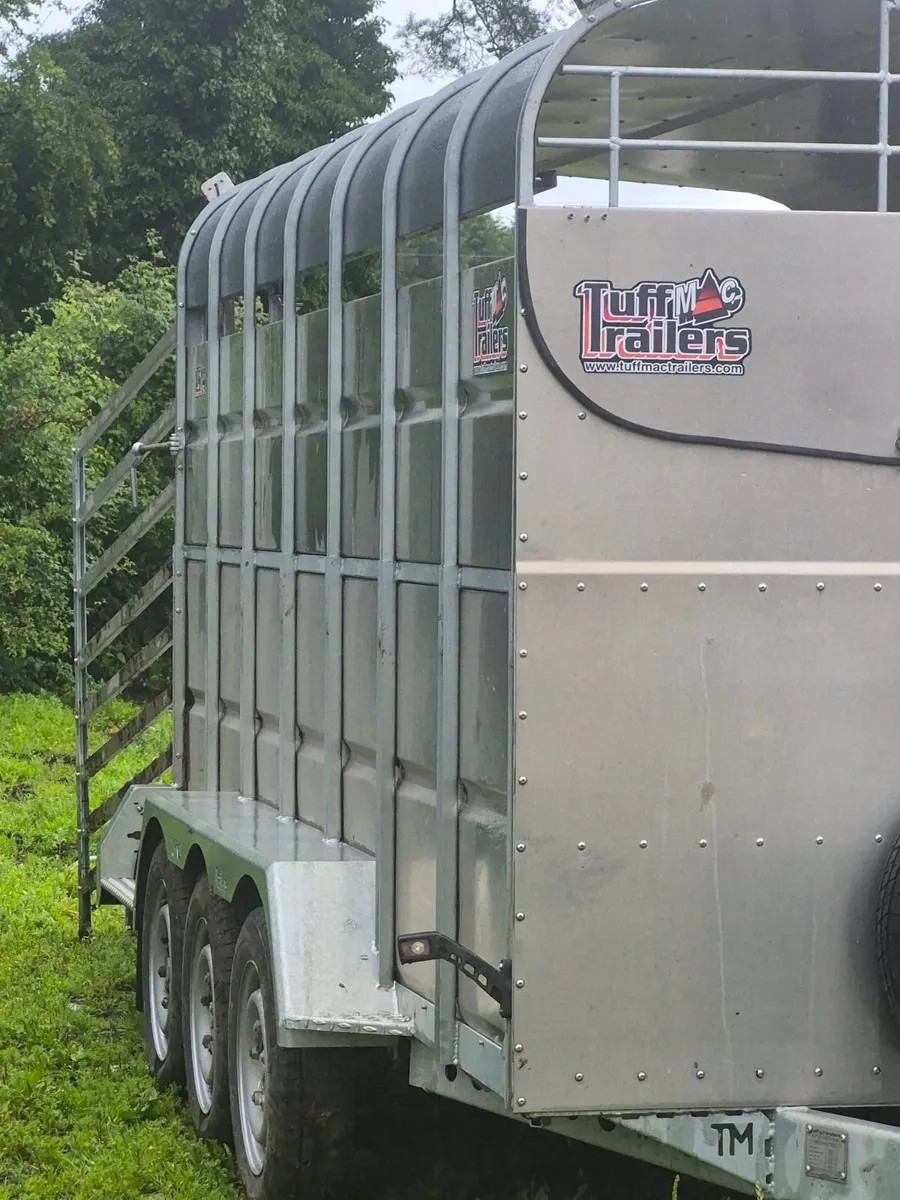 Cattle trailer - Image 4