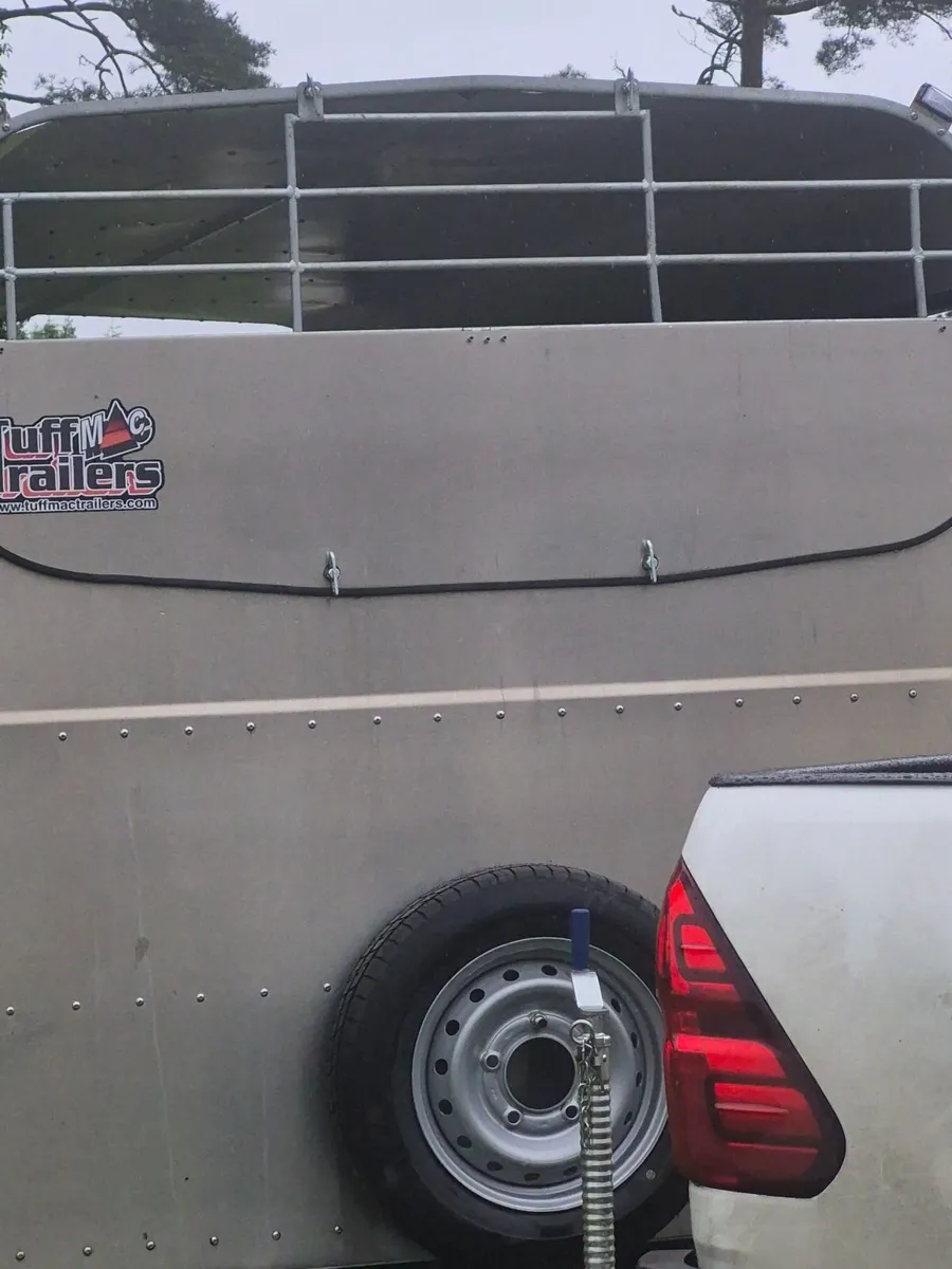 Cattle trailer - Image 3