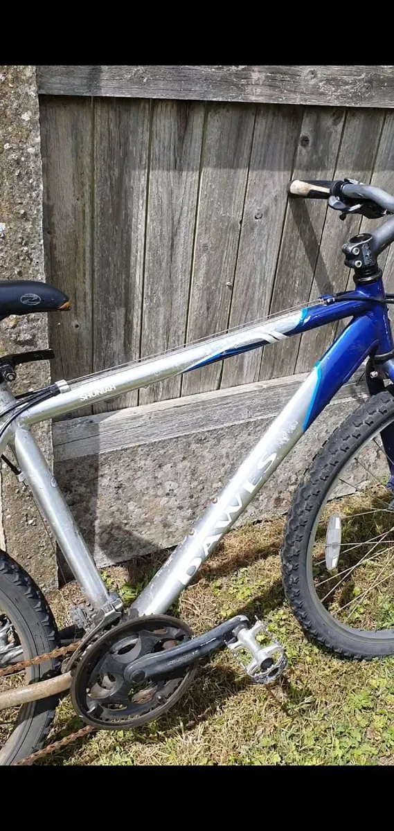 Bicycle - Image 2