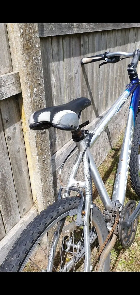 Bicycle - Image 4