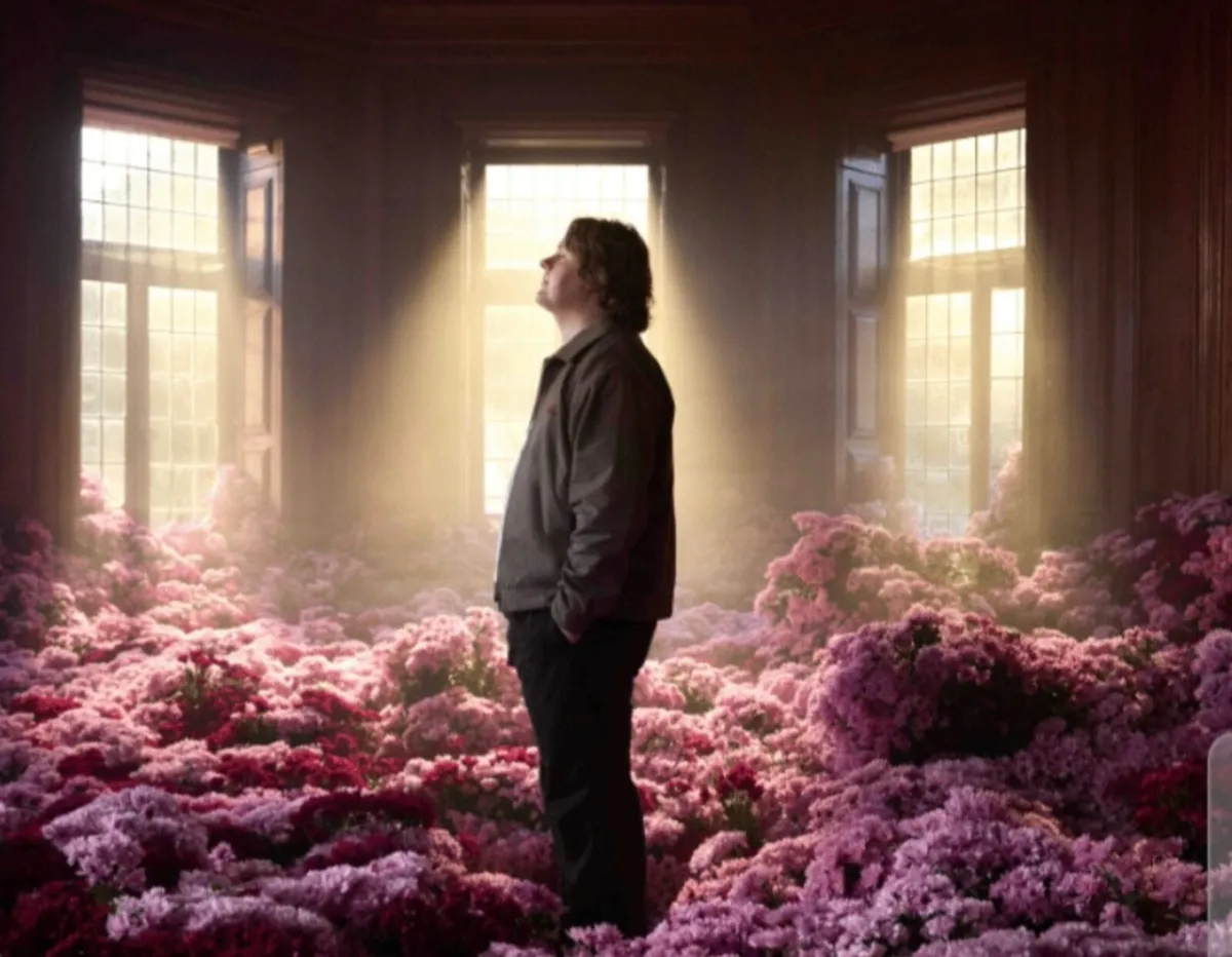Lewis capaldi ticket Limerick