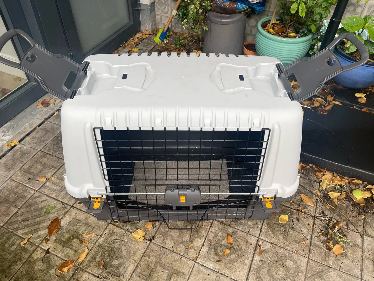 Boot Box / Pet crate - Image 2