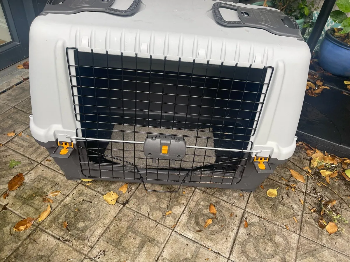 Boot Box / Pet crate - Image 3