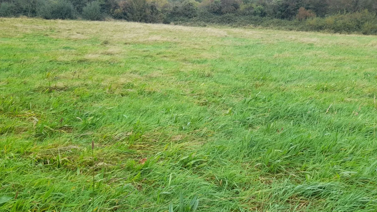Meadow for sale