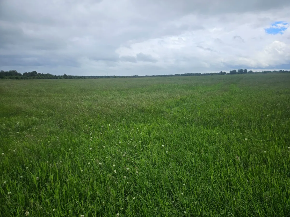 16 ACRES - SILAGE , HAY OR HAYLAGE - Image 2