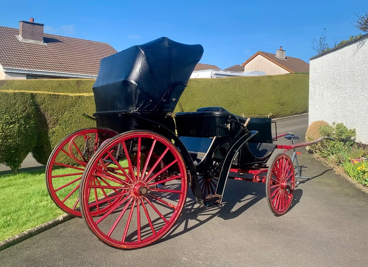 Horse drawn Carriage - Image 2