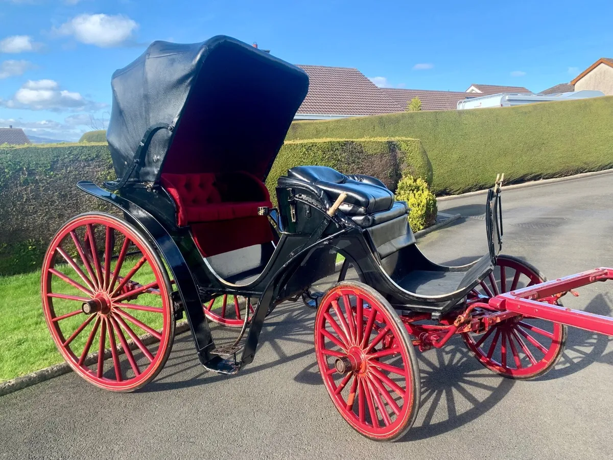 Horse drawn Carriage - Image 3