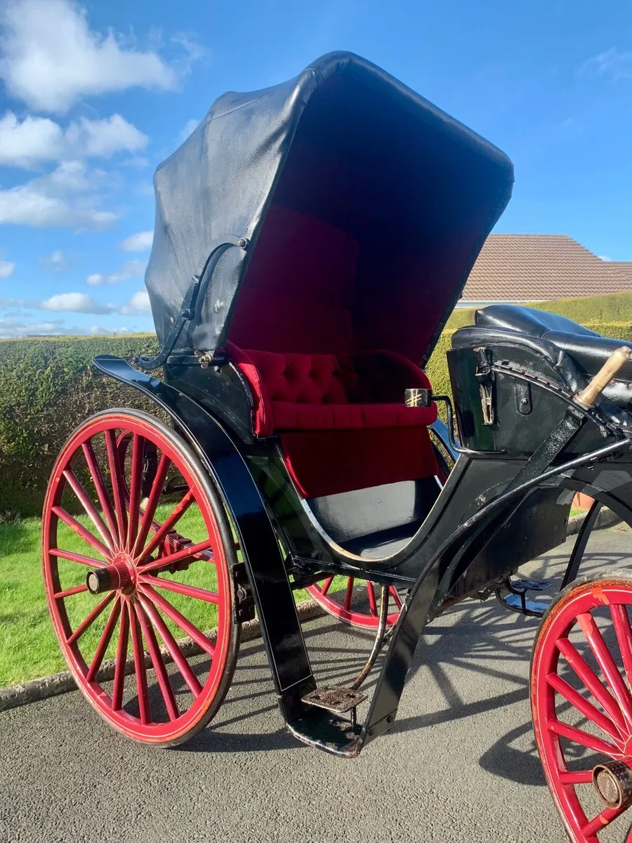 Horse drawn Carriage - Image 4
