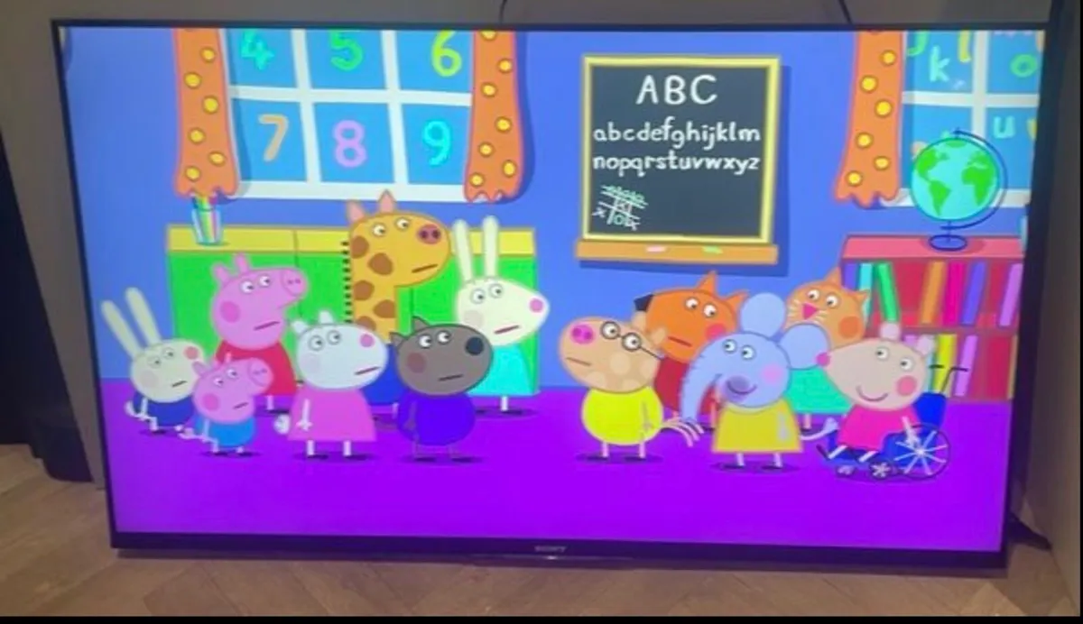 50” Sony Bravia slimline tv
