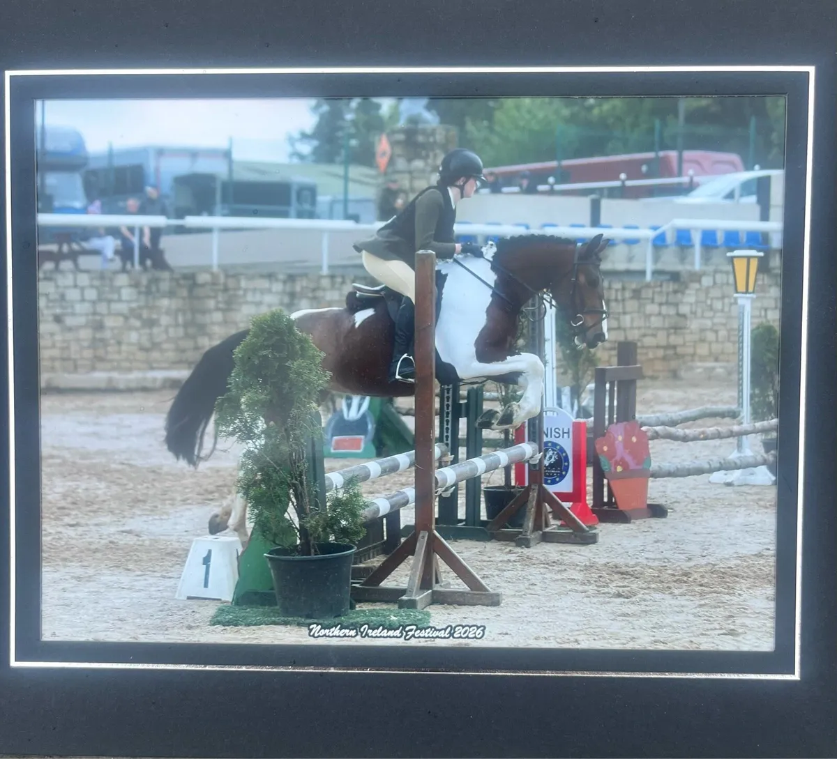 14.1h super all round pony looking for a new home - Image 2