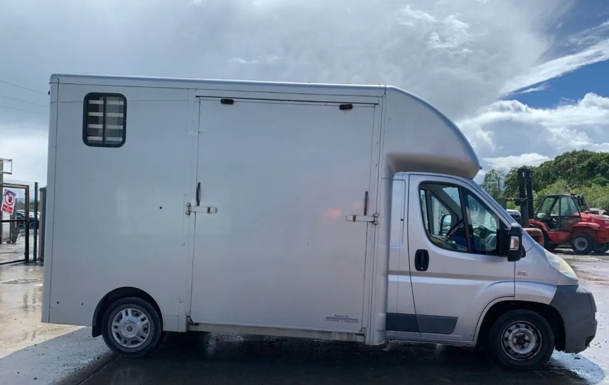 2box Horse Truck - Image 3