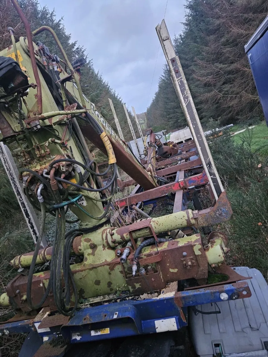 Timber forestry trailer with crane - Image 2