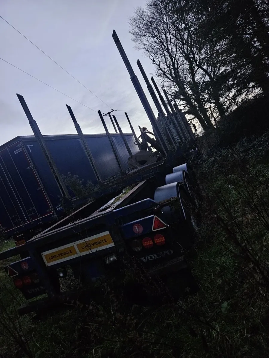 Timber forestry trailer with crane - Image 3
