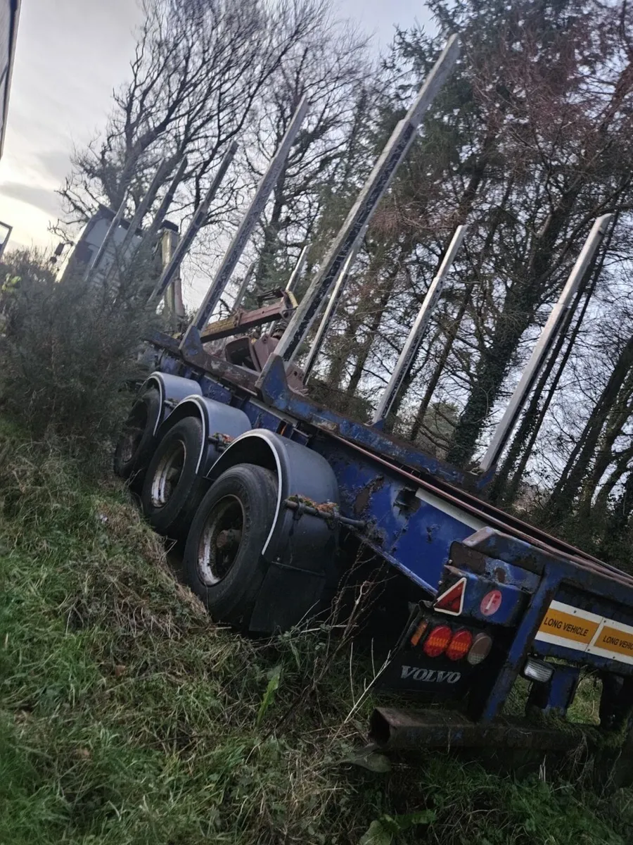Timber forestry trailer with crane - Image 4